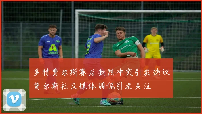 多特费尔斯赛后激烈冲突引发热议费尔斯社交媒体调侃引发关注
